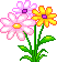 Flowers coloring pages